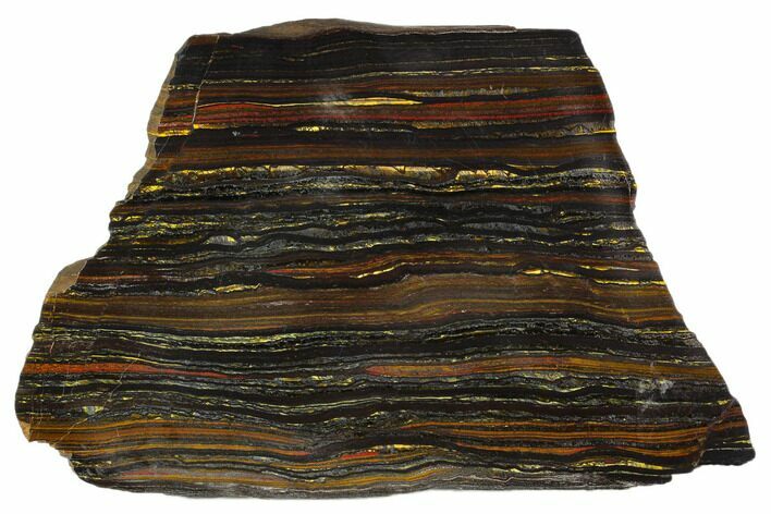 Polished Tiger Iron Stromatolite - Billion Years #129220
